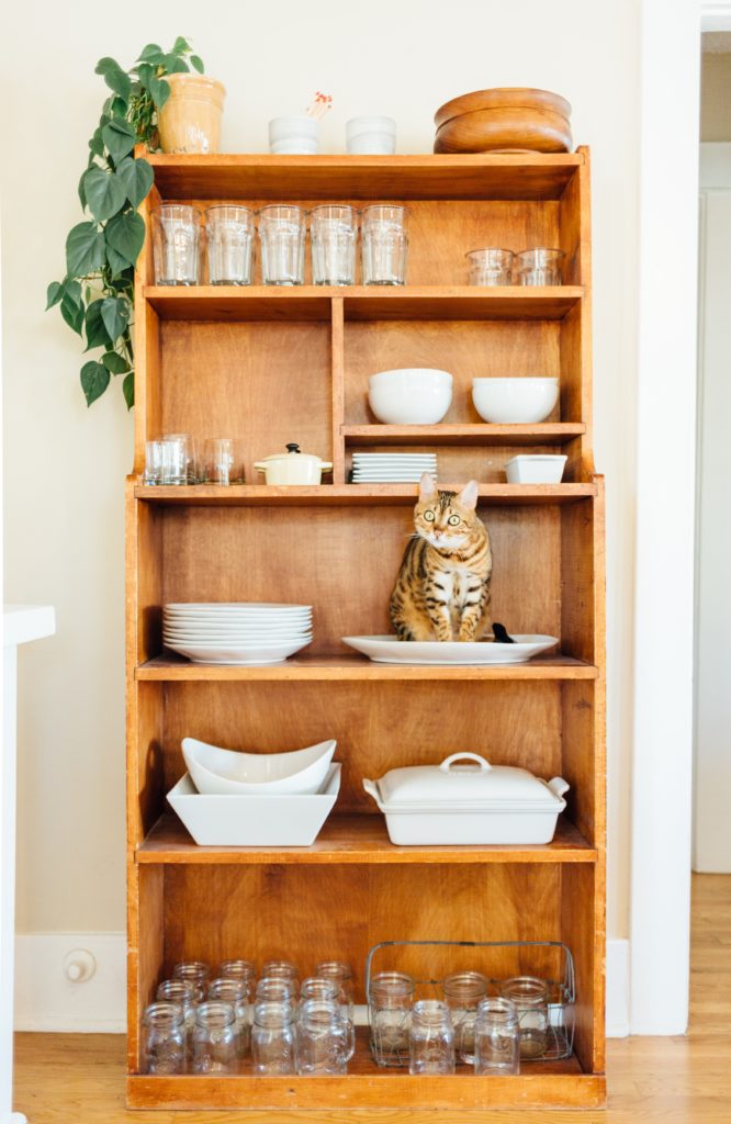 étagère en bois avec vaisselle et chat